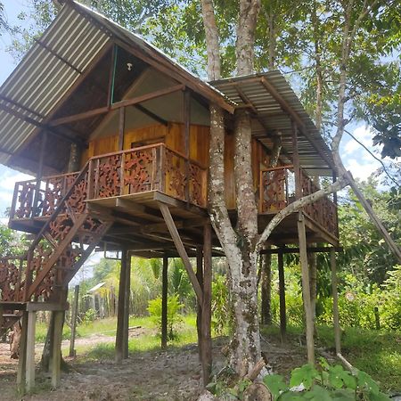 Hotel Karupa Amazonas ليتيسيا المظهر الخارجي الصورة