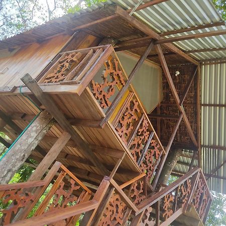 Hotel Karupa Amazonas ليتيسيا المظهر الخارجي الصورة