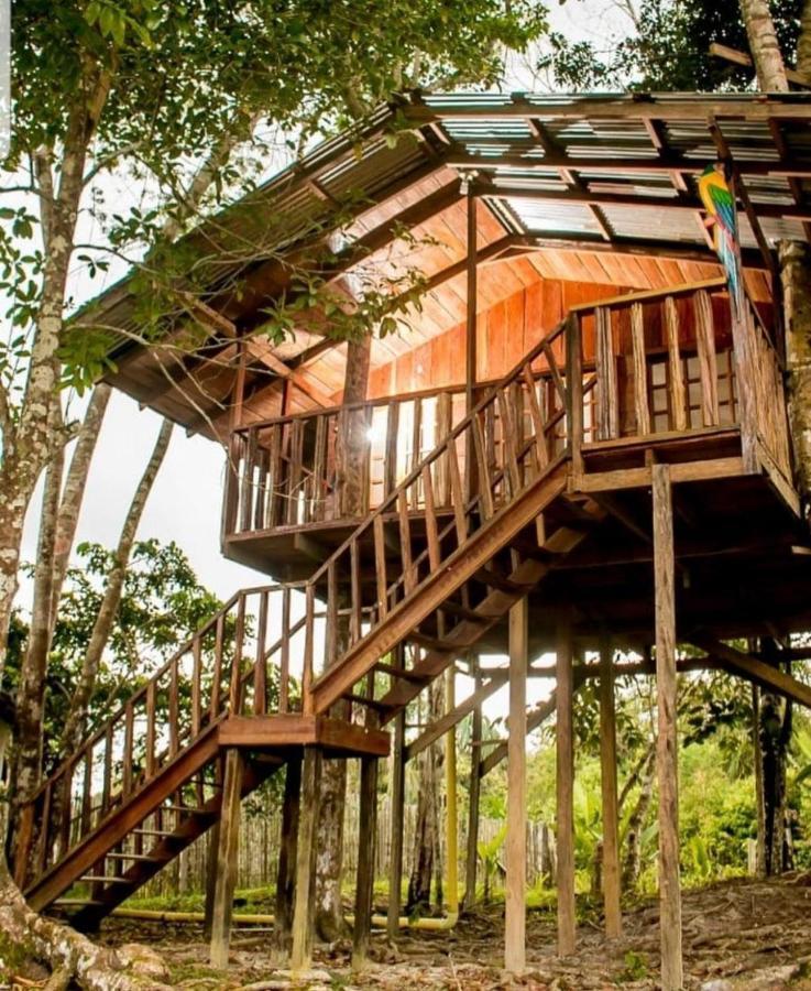 Hotel Karupa Amazonas ليتيسيا المظهر الخارجي الصورة