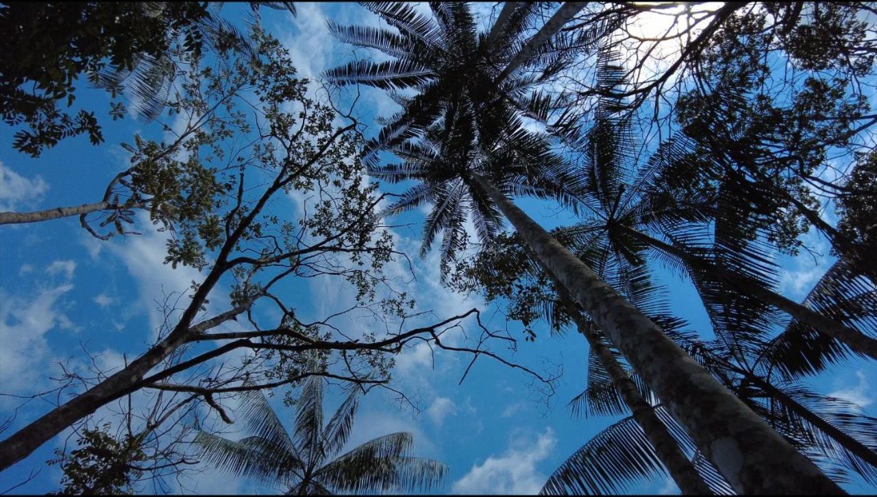 Hotel Karupa Amazonas ليتيسيا المظهر الخارجي الصورة