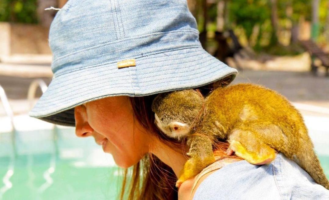 Hotel Karupa Amazonas ليتيسيا المظهر الخارجي الصورة
