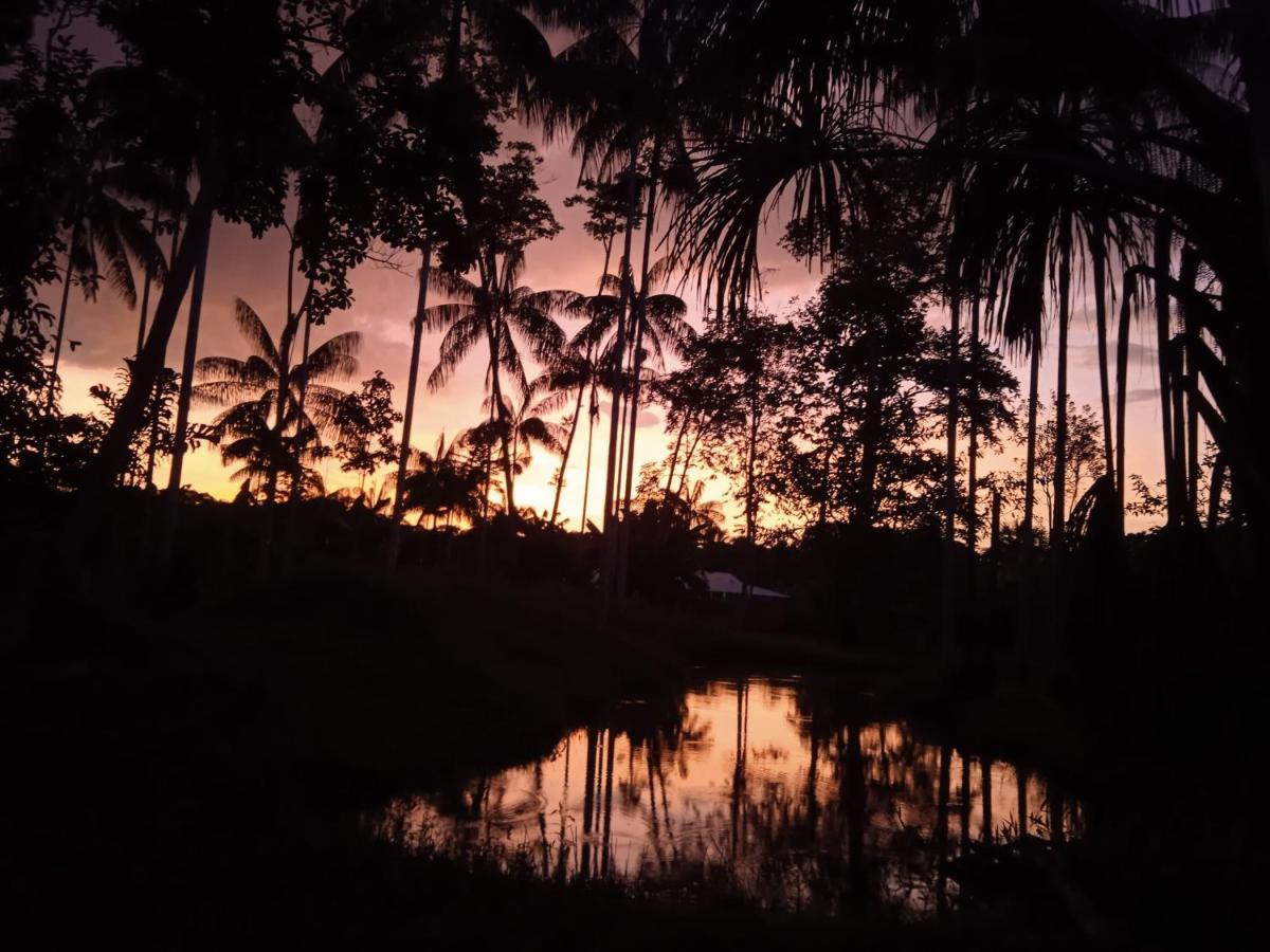 Hotel Karupa Amazonas ليتيسيا المظهر الخارجي الصورة